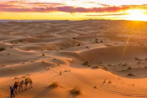 Da Ouarzazate: Tour nel deserto di 3 giorni a Marrakech