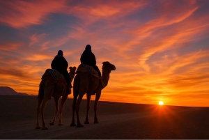 From Peaks to Desert: Atlas Adventure & Agafay Sunset Dinner