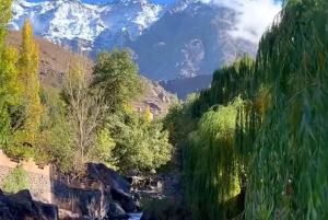 From Peaks to Desert: Atlas Adventure & Agafay Sunset Dinner