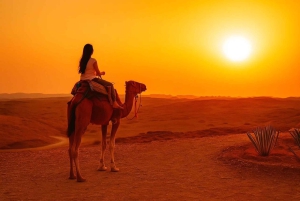 From Peaks to Desert: Atlas Adventure & Agafay Sunset Dinner