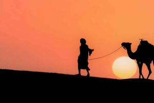 From Peaks to Desert: Atlas Adventure & Agafay Sunset Dinner