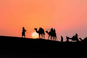 From Peaks to Desert: Atlas Adventure & Agafay Sunset Dinner