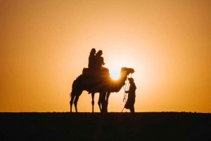 From Peaks to Desert: Atlas Adventure & Agafay Sunset Dinner