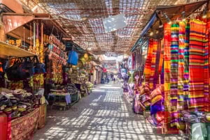 Ab Taghazout: Geführte Tour durch Marrakesch