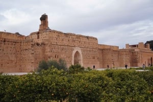 Ab Taghazout: Geführte Tour durch Marrakesch