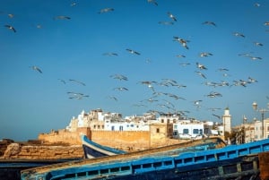 Fra Taghazout: Medina of Essaouira guidet dagstur