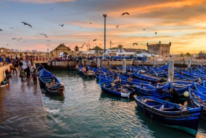 Fra Taghazout: Medina of Essaouira guidet dagstur