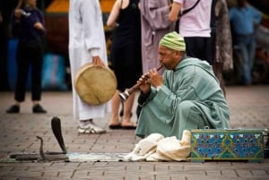 From Taghazout or Agadir: Marrakech and Essaouira 2-Day Trip