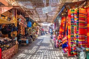 Från Taghazout eller Agadir: Guidad dagsutflykt till Marrakech