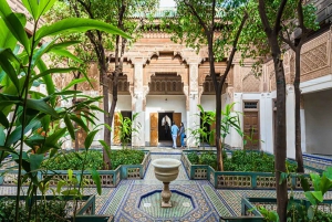 From Taghazout or Agadir: Marrakech Guided Day Trip