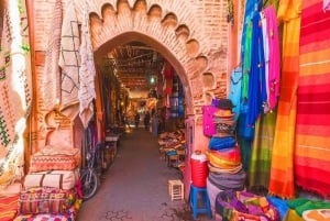 From Taghazout or Agadir: Marrakech Guided Day Trip