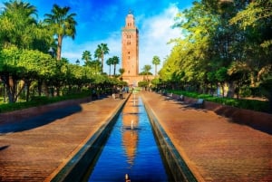 From Taghazout or Agadir: Marrakech Guided Day Trip