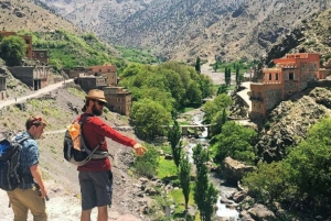 Frome Marrakech: Jednodniowa wycieczka na szczyt Tedli w górach Atlas