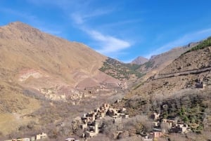 Frome Marrakech: Excursión de un día a la cumbre del Tedli en el Atlas