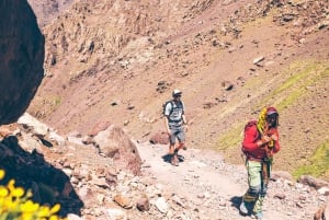 Frome Marrakech: Excursión de un día a la cumbre del Tedli en el Atlas