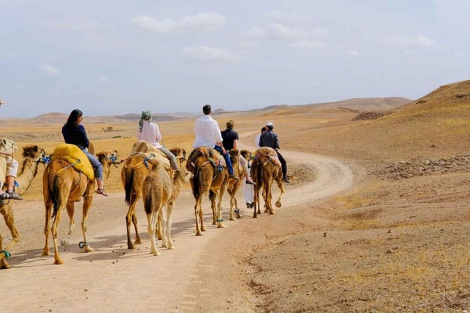 Journée complète dans le désert d'Agafay et les montagnes de l'Atlas avec des chameaux
