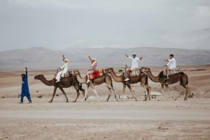 Full-Day Agafay Desert & Atlas Mountains Tour With Camels