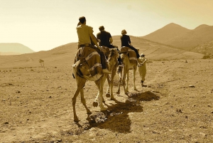 Full-Day Agafay Desert & Atlas Mountains Tour With Camels