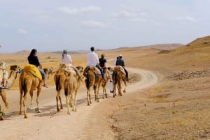 Journée complète dans le désert d'Agafay et les montagnes de l'Atlas avec des chameaux