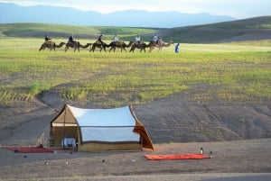 Journée complète dans le désert d'Agafay et les montagnes de l'Atlas avec des chameaux