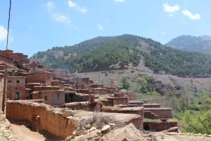 Journée complète dans le désert d'Agafay et les montagnes de l'Atlas avec des chameaux