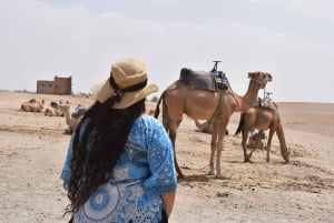 Journée complète dans le désert d'Agafay et les montagnes de l'Atlas avec des chameaux