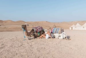 Journée complète dans le désert d'Agafay et les montagnes de l'Atlas avec des chameaux