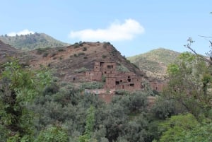 Journée complète dans le désert d'Agafay et les montagnes de l'Atlas avec des chameaux