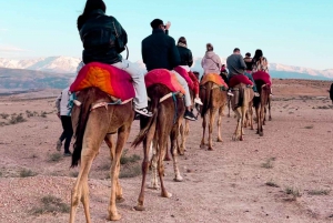 Marrakech : excursion dans le désert d'Agafay avec activités et dîner