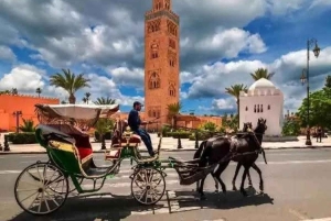 Koko päivän ryhmämatka Marrakechiin Agadirista