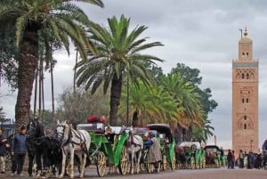 Excursion d'une journée à Marrakech au départ d'Agadir