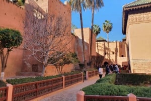 Il meglio di Marrakech: Tour guidato di storia e cultura della Medina Vecchia