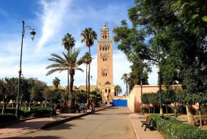 Il meglio di Marrakech: Tour guidato di storia e cultura della Medina Vecchia