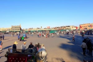 Il meglio di Marrakech: Tour guidato di storia e cultura della Medina Vecchia