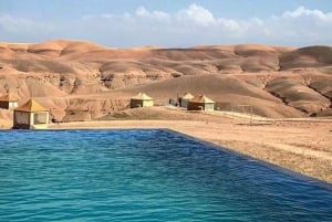 Full Day in Agafy Desert , Lunch and swiming with Quad