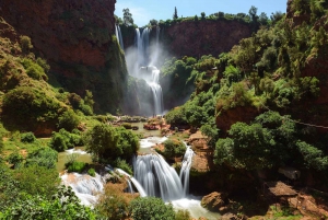 Full day Ouzoud Waterfalls excursion & Guide walk