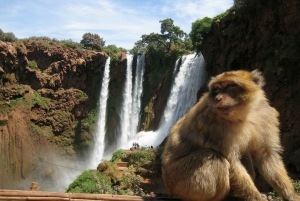 Full day Ouzoud Waterfalls excursion & Guide walk