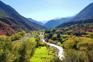 From Marrakesh: Private Atlas Mountains Day Trip {5-Valleys}
