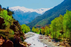 From Marrakesh: Private Atlas Mountains Day Trip {5-Valleys}