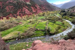 From Marrakesh: Private Atlas Mountains Day Trip {5-Valleys}