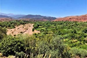 From Marrakesh: Private Atlas Mountains Day Trip {5-Valleys}