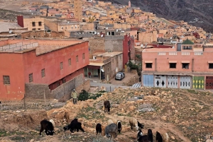 Escursione di un giorno alle quattro valli con giro in cammello e trekking