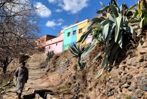 Escursione di un giorno alle quattro valli con giro in cammello e trekking