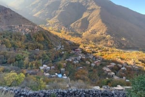 Escursione di un giorno alle quattro valli con giro in cammello e trekking
