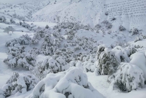 Full Day Trip to Imlil And Ourika Valleys With Camel &Lunch