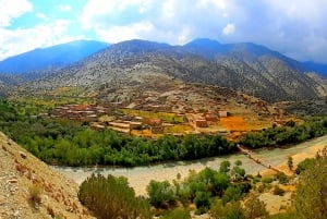 Marrakech : Aventure dans l'Atlas, randonnée, balade à dos de chameau, désert et déjeuner