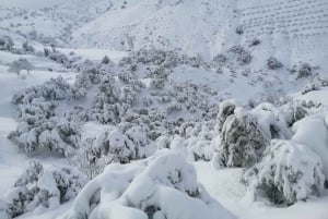 Marrakech : Aventure dans l'Atlas, randonnée, balade à dos de chameau, désert et déjeuner