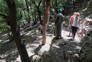 Marockansk matlagningskurs i en by i bergen med upphämtning