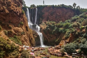 From Marrakech: Day trip to Ouzoud waterfalls and boat tour.