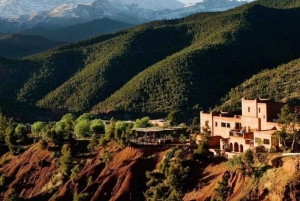 From Marrakech: Day trip to Ouzoud waterfalls and boat tour.